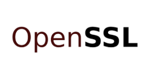 Create CSR with OpenSSL (Certificate Sign Request)
